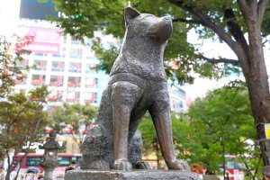 渋谷で証明写真を撮影するならどこ？駅構内や駅付近の撮影場所を解説！1