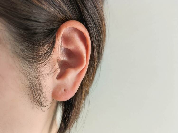 就活用の証明写真で「ピアス穴」が写るのは不利？プロが隠し方を解説3