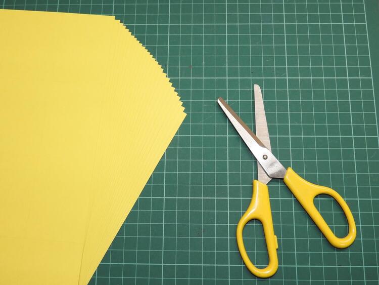 就活生は確認！履歴書やESで使う証明写真の「サイズ」や変更方法を解説5