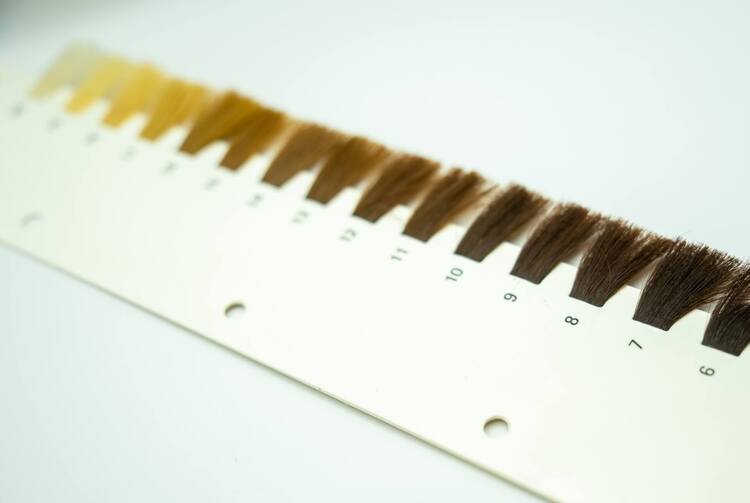 インターン写真に適した「髪型」のまとめ｜パーマや髪を下ろすのはNG？4